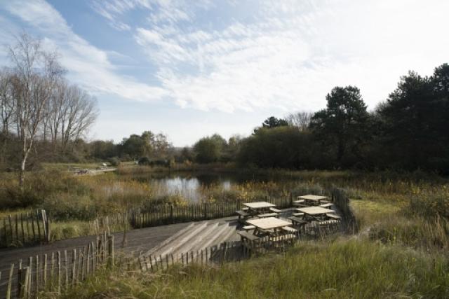 Natuurdomein De Nachtegaal